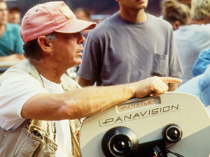 The Fan (1996)