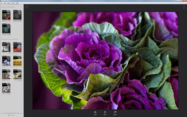 Screenshot of the Snapseed software