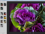 Screenshot of the Snapseed software