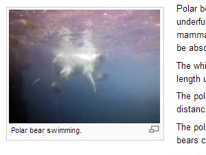 Wikipedia HTML5 video player