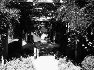 Jay-Z carrying daughter Blue Ivy Carter
