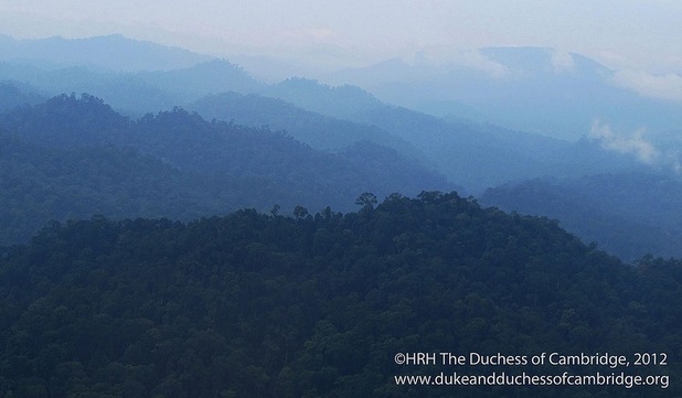 Photo taken by Kate Middleton on a trip to Borneo.