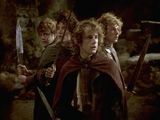 The Lord of the Rings: The Fellowship of the Ring (2001)