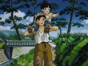 Grave of the Fireflies (1988) 