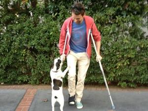 Matt Bellamy picture posted on Twitter with crutches
