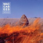 The Maccabees: 'Given to the Wild'