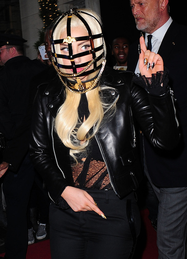 Lady Gaga Cage