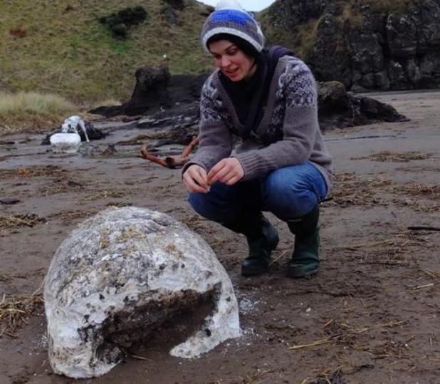 World War 2 lard washes up on Scottish beach