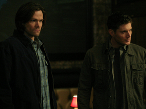 Supernatural S08E15: :Man's Best Friend With Benefits'