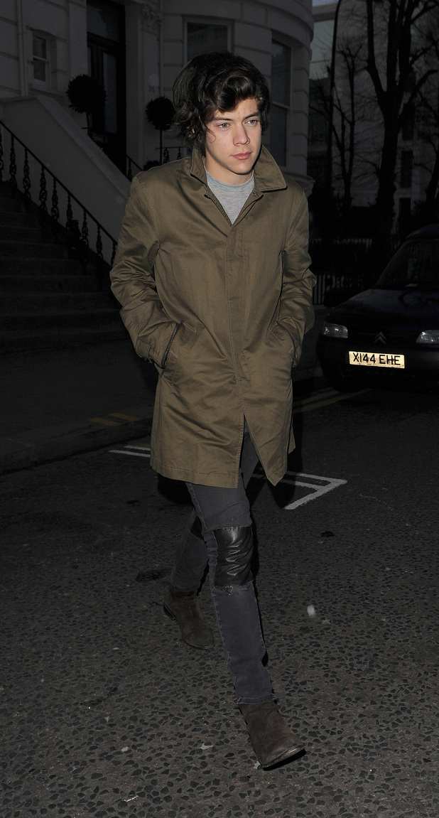Harry Styles 