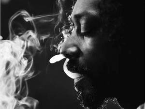 Snoop Lion 'Reincarnated' artwork