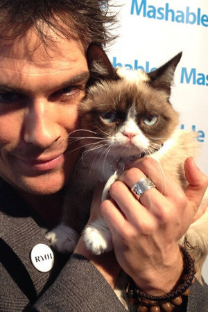 Ian Somerhalder meets Grumpy Cat