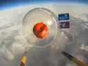 BBC Radio Scotland help to send two of the charity's iconic emblems into space.