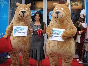 Kim Kardashian, Charmin, loos, loo paper