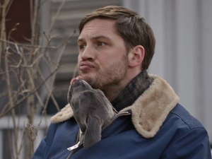 Tom Hardy, puppy, Animal Rescue, film set, New York
