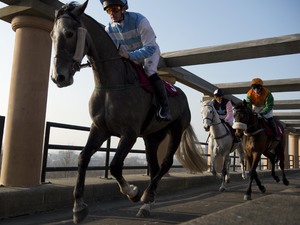 Channel 4's Grand National Trail