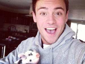 Tom Daley with his new micro pig