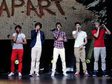 One Direction sing Celine Dion's 'My Heart Will Go On' on tour - video