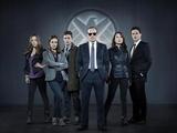 Agents of S.H.I.E.LD., Rebel Wilson sitcom for ABC's 2013-14 schedule