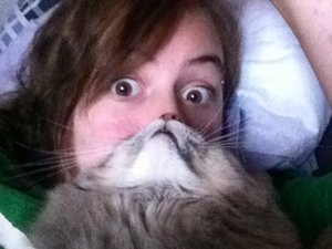 Cat beards