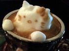 The coffee shop owner from Japan creates intricate images out of hot coffee.