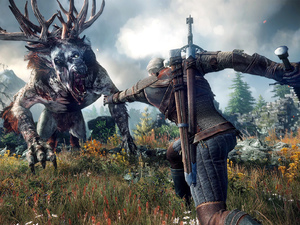 'The Witcher 3: Wild Hunt' screenshot