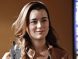 Cote De Pablo NCIS Cote De Pablo NCIS