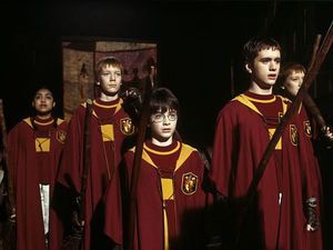 Harry Potter and the Philosopher's Stone (2001)