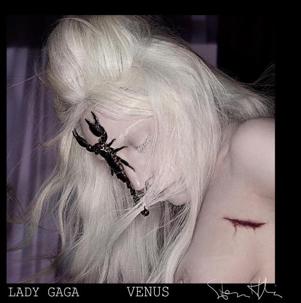 Lady Gaga 'Venus' artwork.