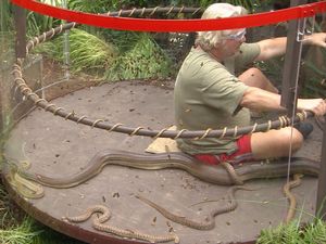 David Emmanuel in the I'm a Celeb 'In a Spin' Bushtucker Trial