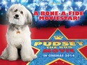 Britain's Got Talent dog is the star of his own family adventure film.