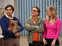 The head of CBS appears to confirm the hit sitcom's renewal.
