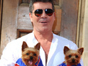 Squiddly and Diddly are joined by the other judges' pet pooches for the launch.