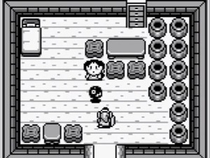 The Legend of Zelda: Links Awakening screenshot