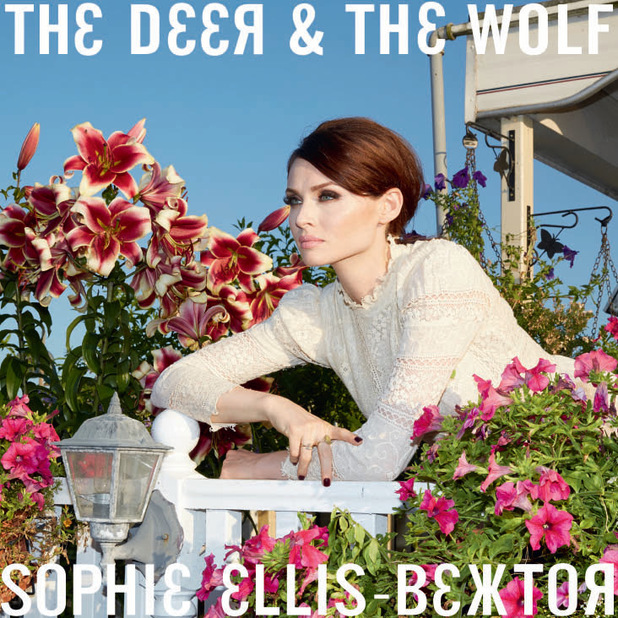 The Deer & The Wolf artwork