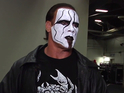 Sting also admits that he regrets the end of The Undertaker's WrestleMania streak.
