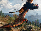Hunting, brawling and hungry griffins await in CD Projekt's eagerly anticipated adventure.