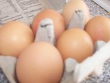 160x120 cultspy eggs 