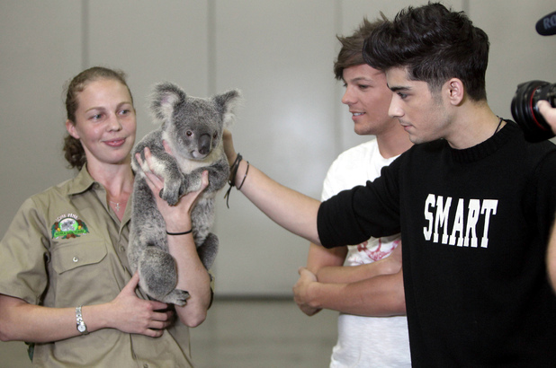 The Many Faces of... • The many faces of One Direction: Animal Edition